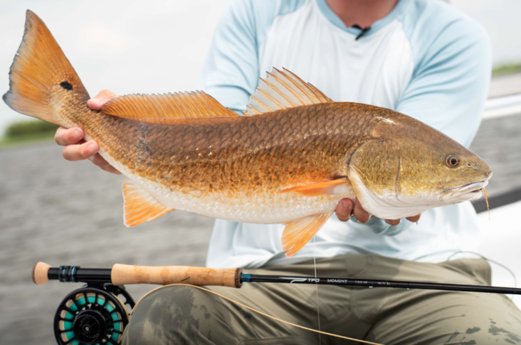 Temple Fork  Outfitters TFO Moment Fly Rod