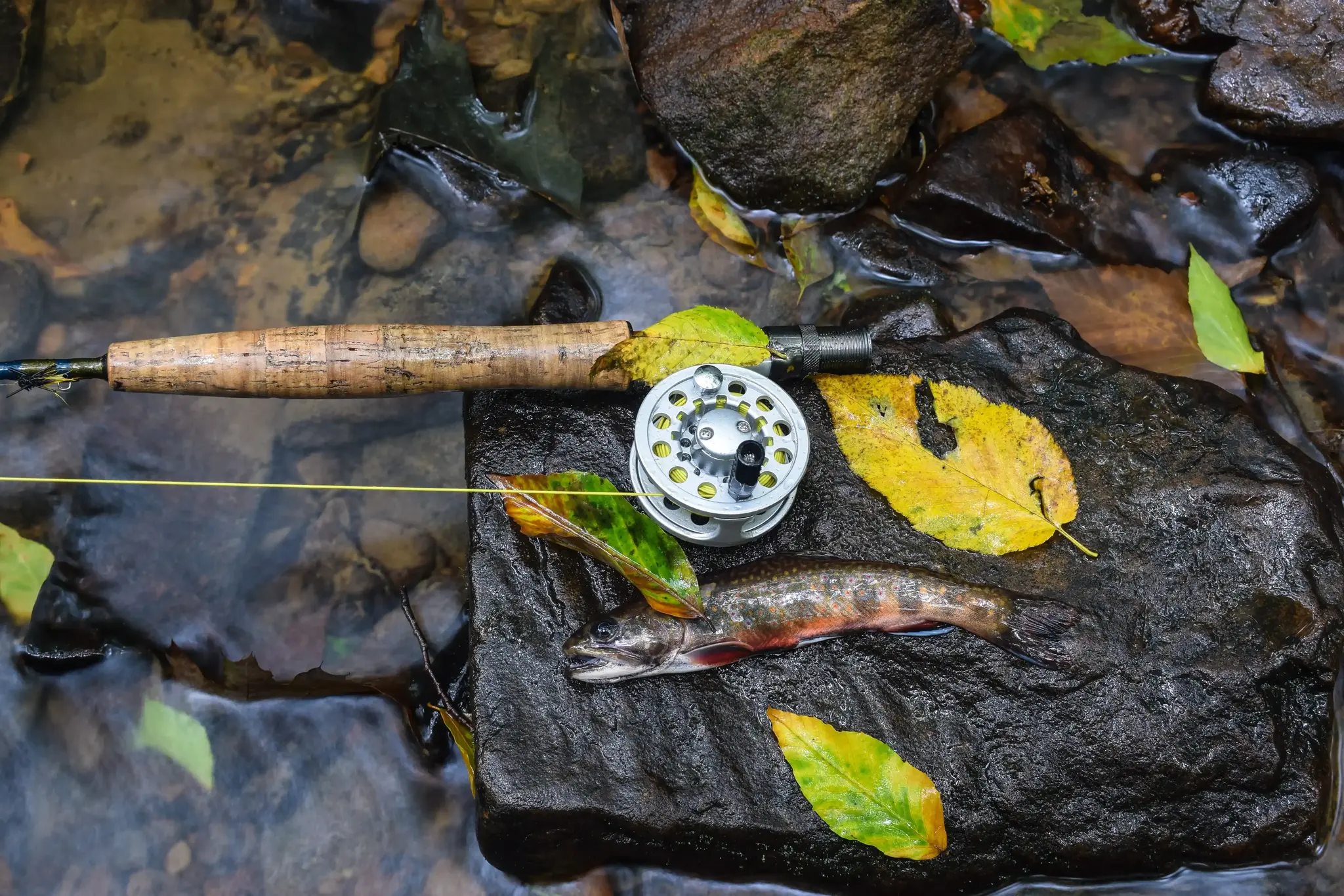 best st croix rod for ned rig St-Croix Black Bass Spinning Rods in hoods are included What Lures We're Throwing: Gear Ratio:4.8:1 jigstyle:Casting Tins