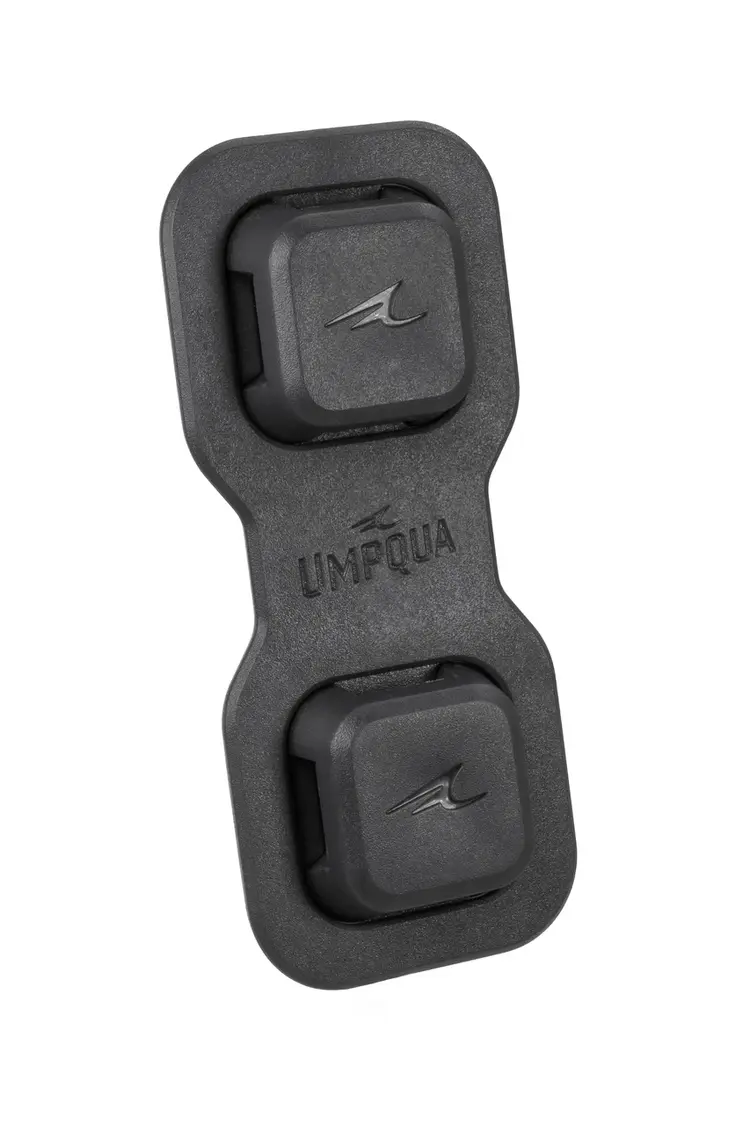 Umpqua Link Base Station 2PK