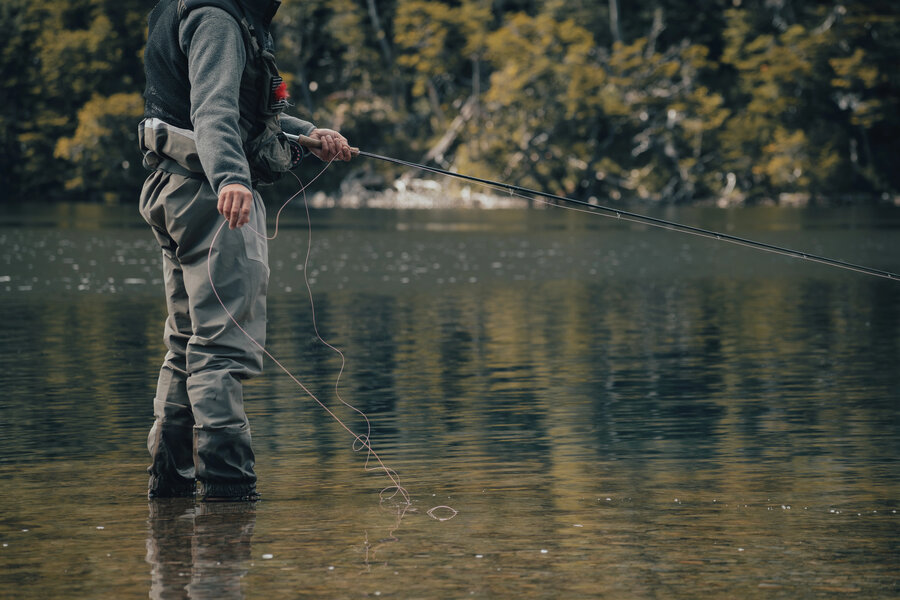 new shimano sellus rod Shimano Sellus B Rods