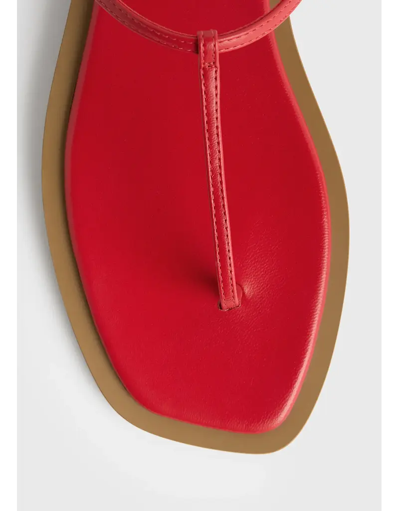 Toteme T-strap Nappa Sandals