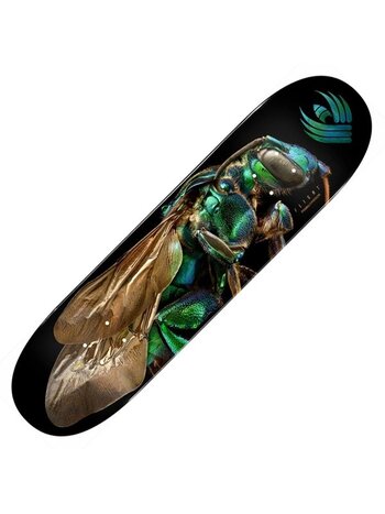 POWELL PERALTA POWELL PERALTA F-LIGHT CUCKOO 8.0