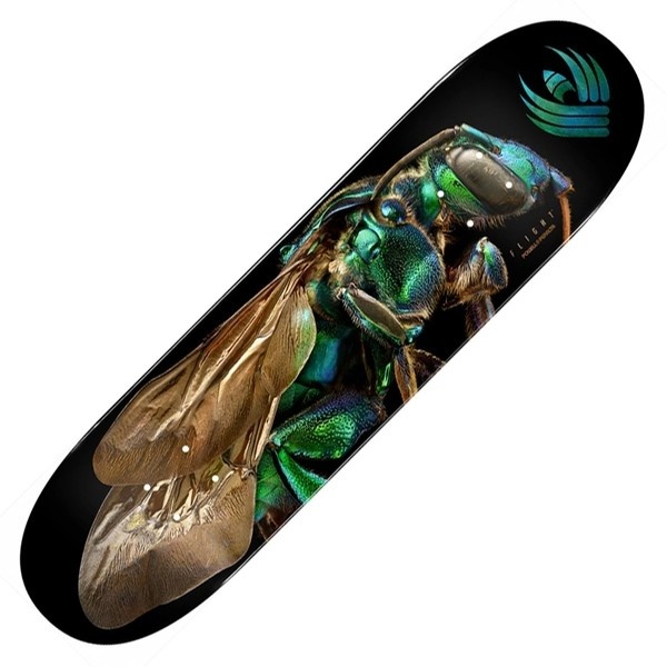 POWELL PERALTA POWELL PERALTA F-LIGHT CUCKOO 8.0