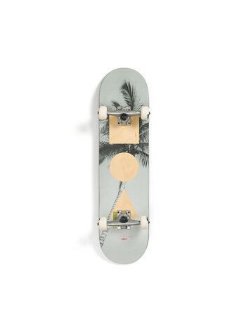 GLOBE GLOBE G1 STACK PALM 8.0