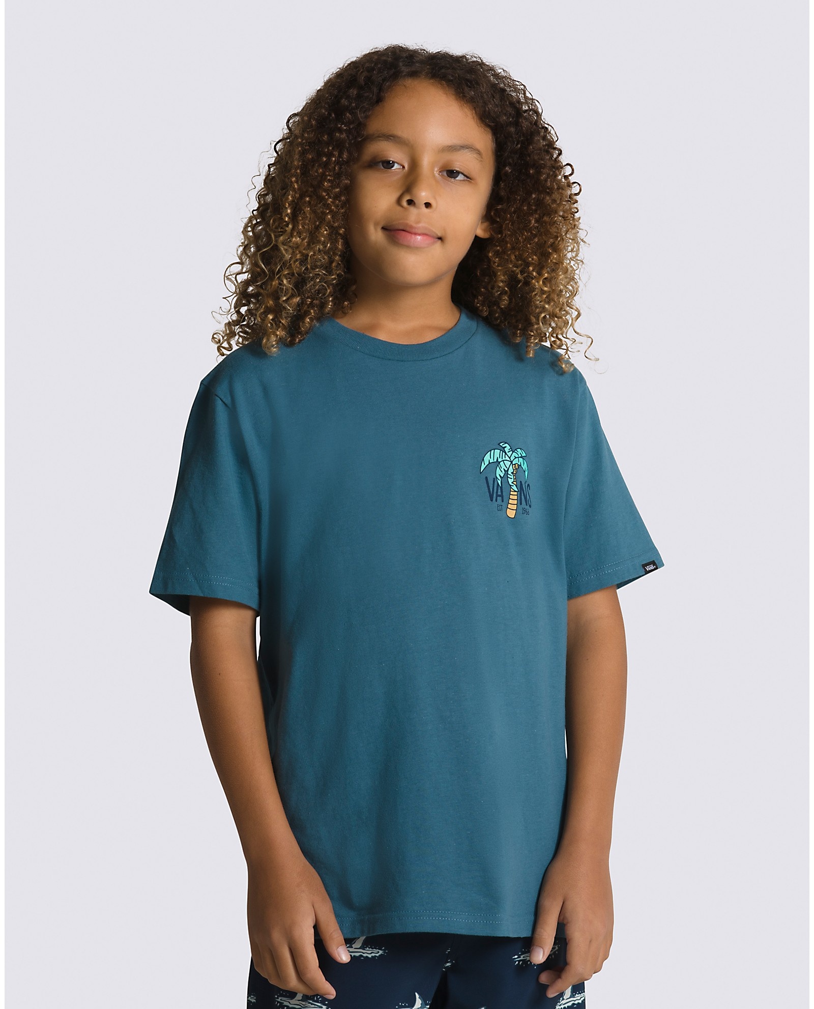 VANS B OLD SKOOL ISLAND TEE