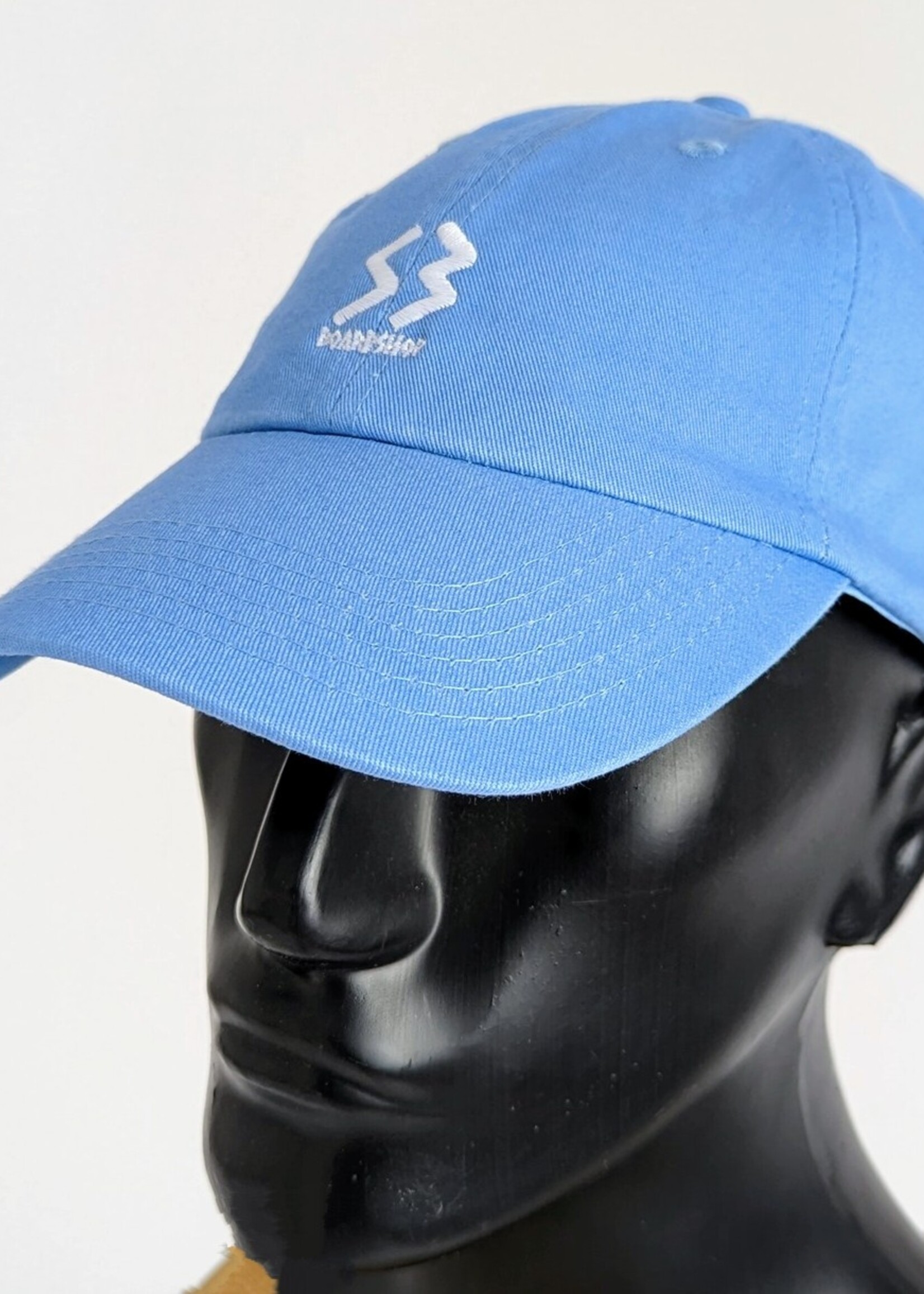 S3 S3 DAD HAT SKY BLUE