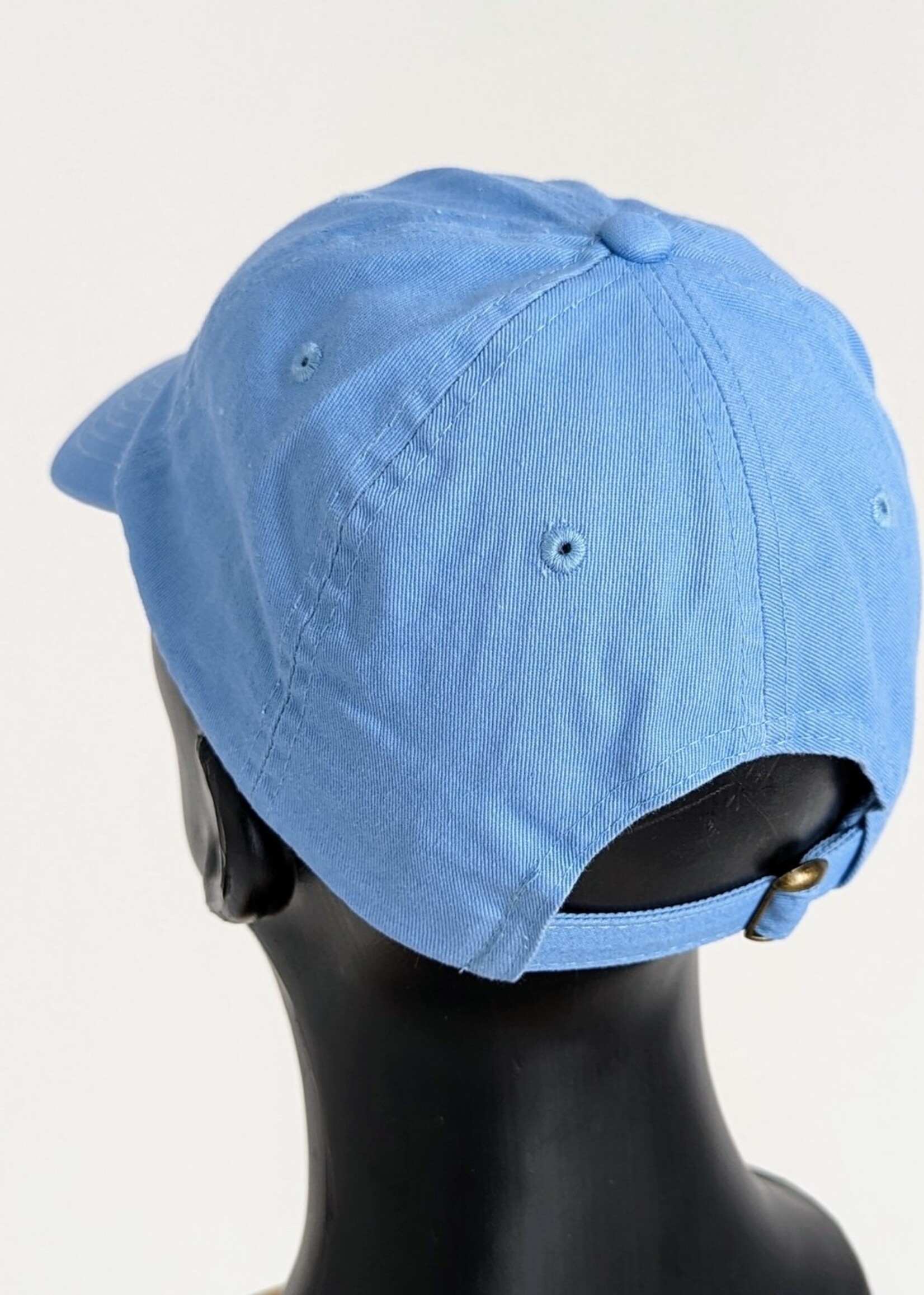 S3 S3 DAD HAT SKY BLUE