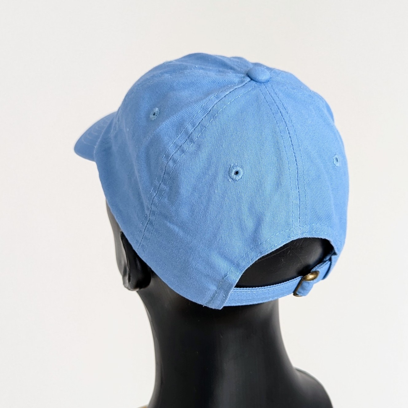 S3 S3 DAD HAT SKY BLUE