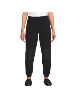 TNF W ALPINE POLARTEC 100