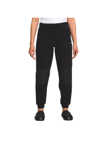 TNF W ALPINE POLARTEC 100