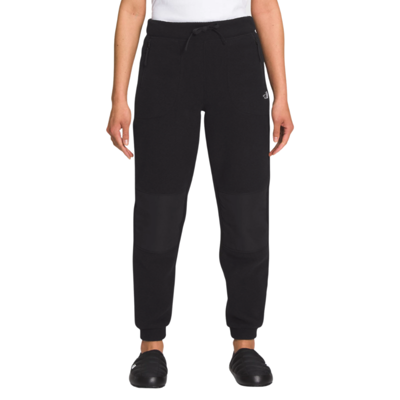 TNF TNF W ALPINE POLARTEC 100