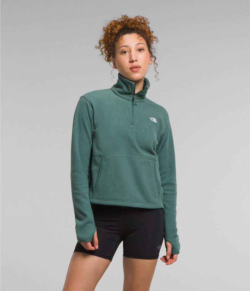 TNF TNF W ALPINE POLARTEC 100 1/4ZIP