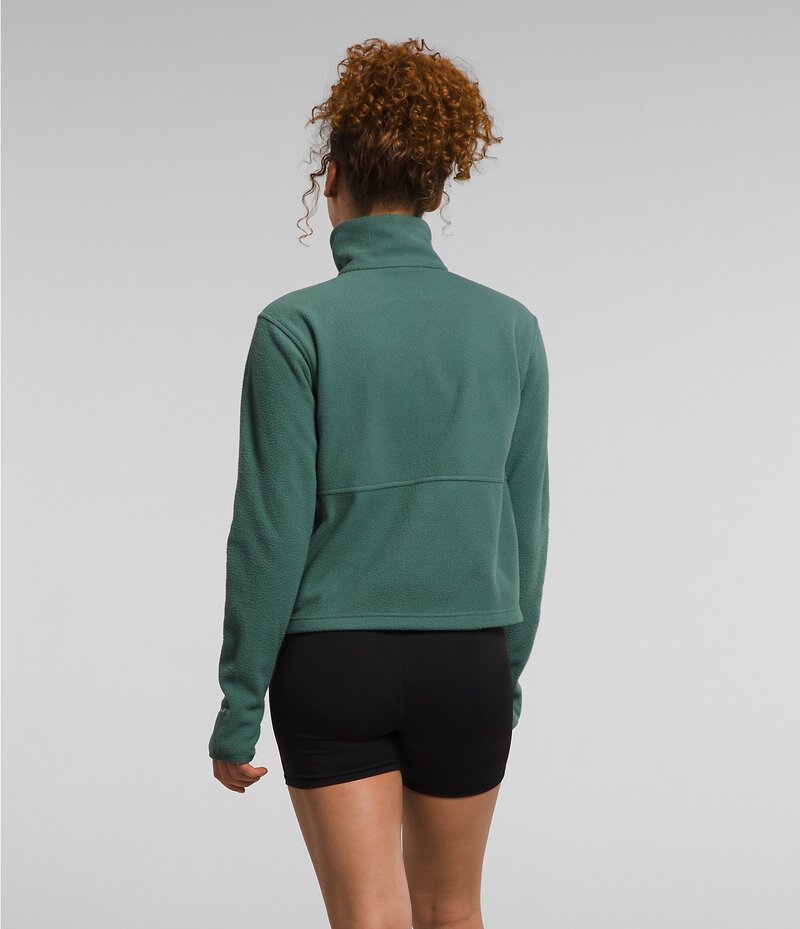 TNF TNF W ALPINE POLARTEC 100 1/4ZIP