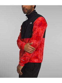 TNF TNF M ALPINE 100 1/2 ZIP