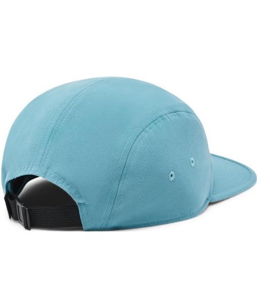 COTOPAXI COTOPAXI LLAMA STRIPES CAP SPRUCE