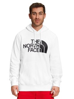 TNF TNF M HALF DOME PO HOODIE
