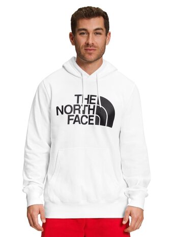 TNF TNF M HALF DOME PO HOODIE