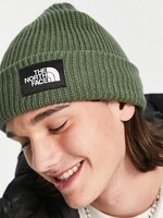 TNF TNF SALTY LINED GREEN