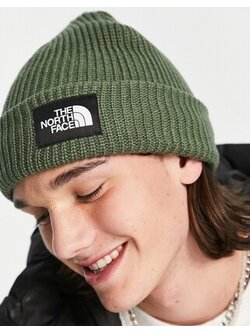 TNF TNF SALTY LINED GREEN