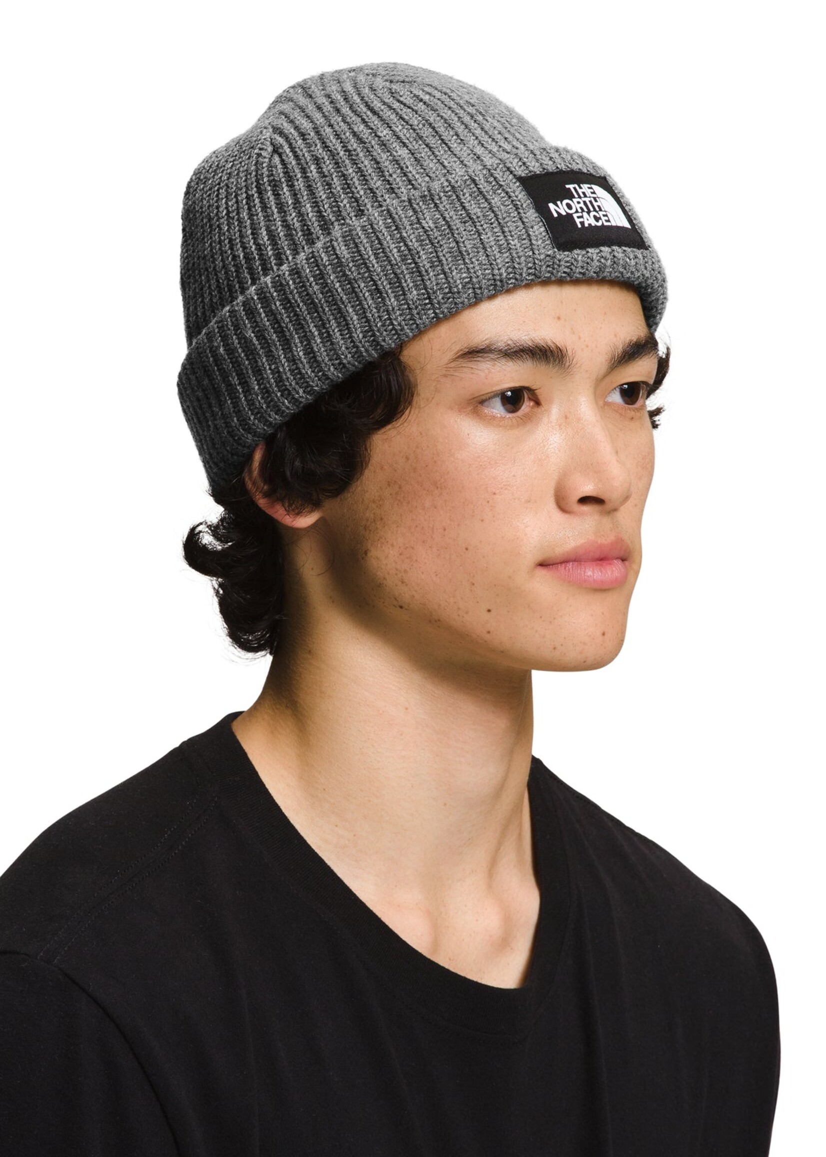 TNF TNF SALTY LINED GREY