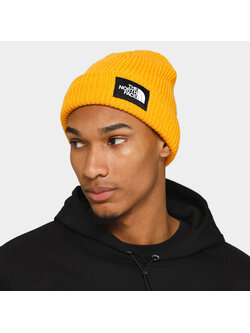 TNF TNF SALTY LINED GOLD