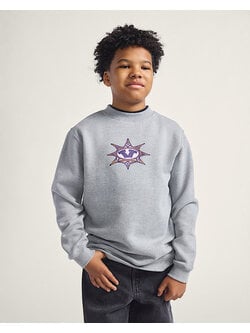 VANS STAR CHECKER CREW