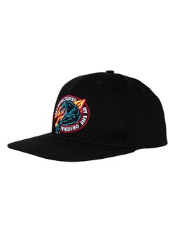 SANTA CRUZ SC NATAS PANTHER HAT