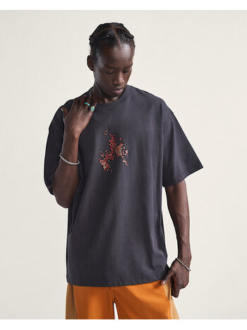 VANS SKATE FLAME SS