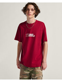 VANS WORLD SS TEE