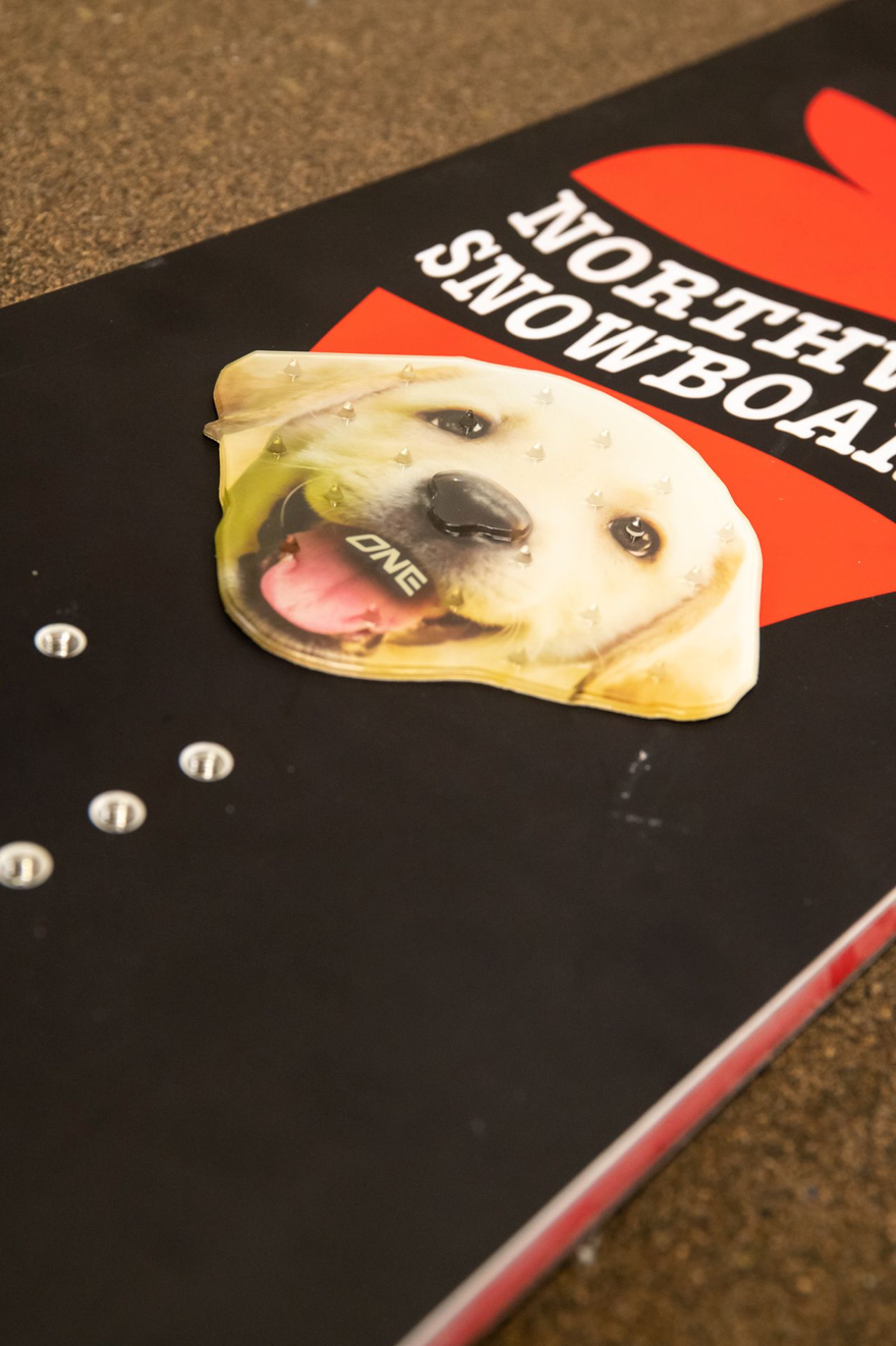 ONE BALL LABRADOR TRACTION PAD