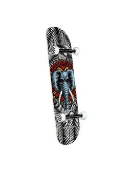 POWELL PERALTA VALLELY ELEPHANT COMP 8''