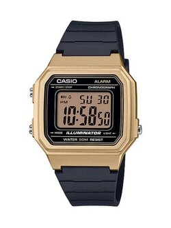 CASIO W-217HM-9AV