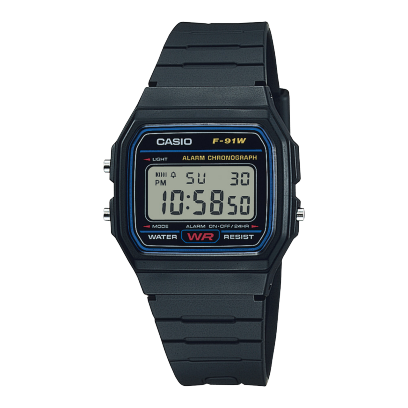 CASIO GS-F91W-1X
