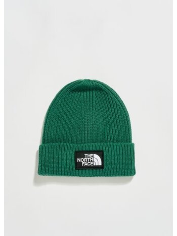 TNF LOGO BOX BEANIE REGULAR TEA
