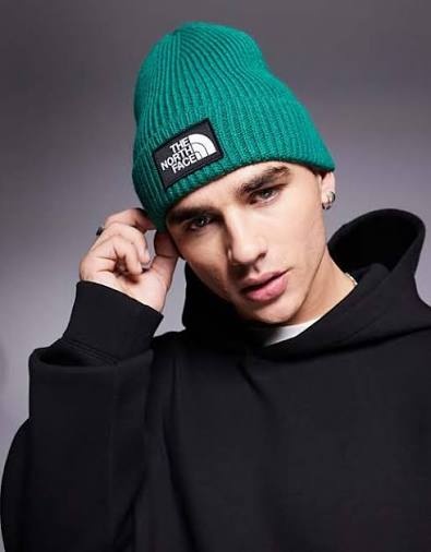 TNF LOGO BOX BEANIE REGULAR TEA