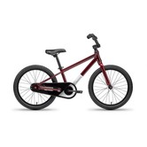 Kids 20" Bike - Orchid