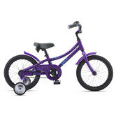 Miss Daisy - 16" x 8 Grape