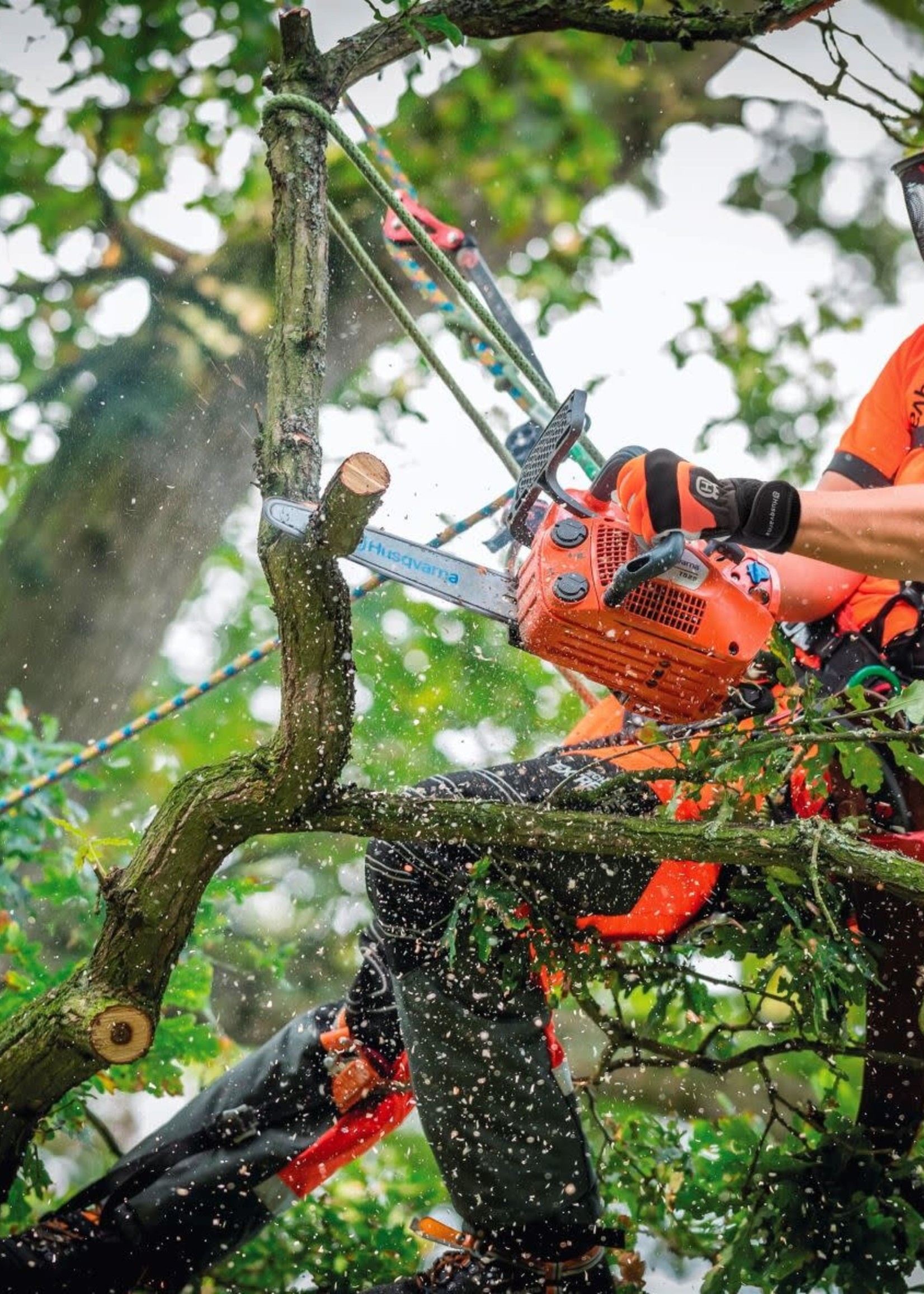 Husqvarna Scie à chaîne T525, 12", 50 GA, 3/8