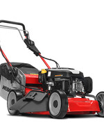Weibang Tondeuse 20 po avec démarreur électique moteur Locin