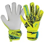 Reusch Attrakt Solid Goal Glove