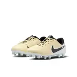 Nike Nike Tiempo Jr. Legend 10 Academy DV4348-700