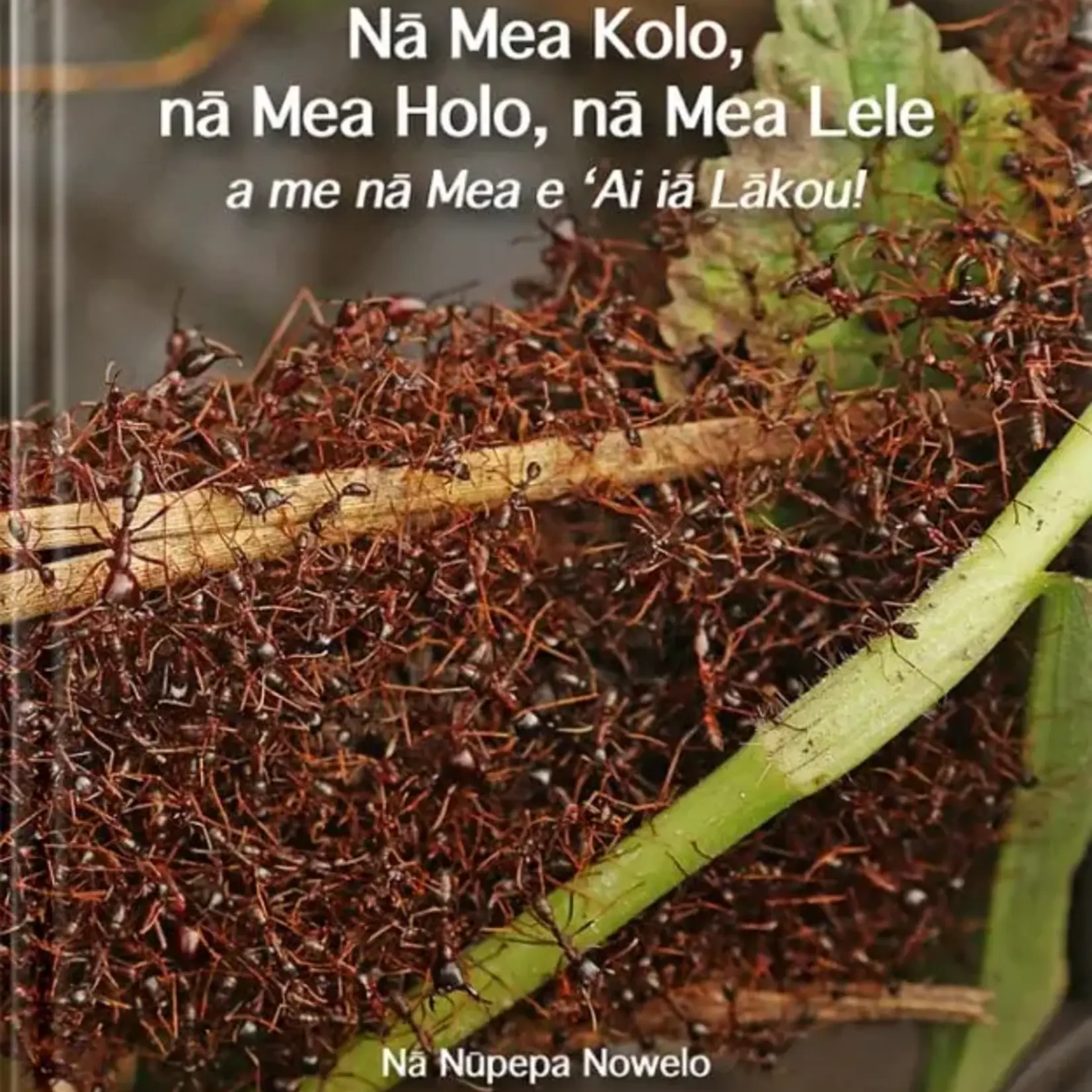 Hiohia Publishing: Kaiulani Kauihou Hiohia: Na Nupepa Nowelo Book Series