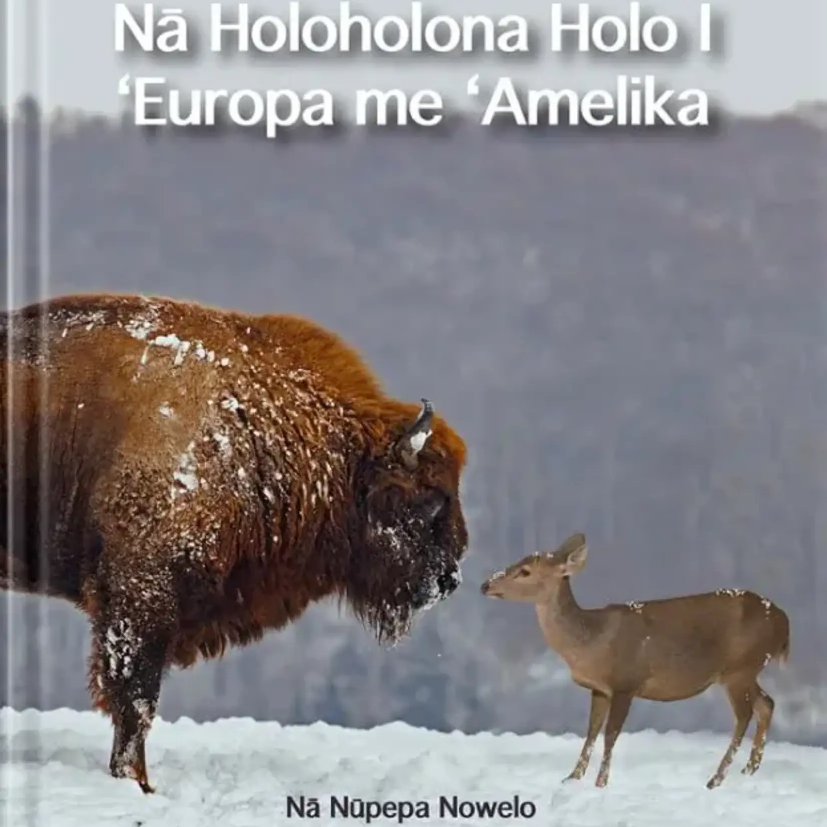 Hiohia Publishing: Kaiulani Kauihou Hiohia: Na Nupepa Nowelo Book Series