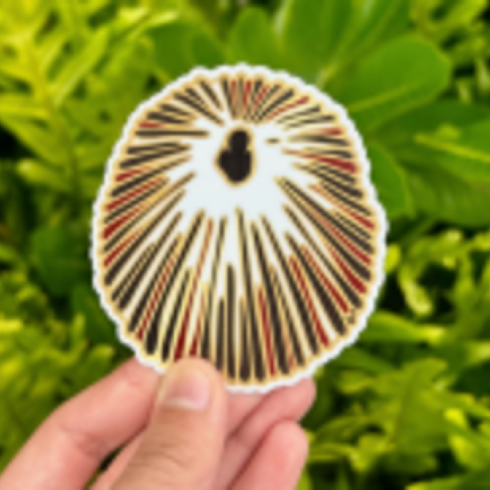Mahea Leah Mahea Leah: Opihi Sticker