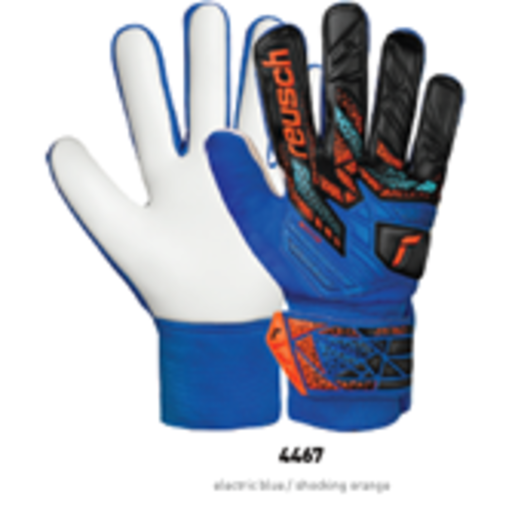 Reusch Attrakt Starter Solid