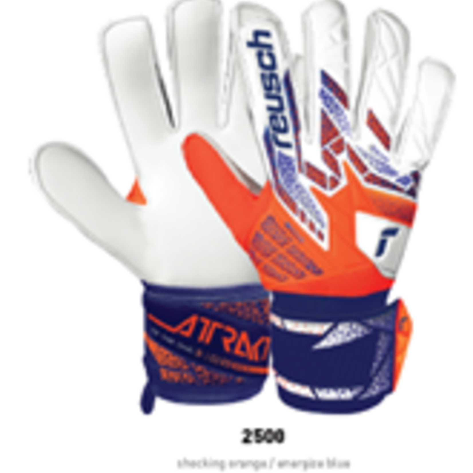 Reusch Attrakt Starter Solid