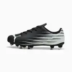 Puma Attacanto FG 108493-01