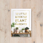 Common Ground The Little Book for Plant Parents
