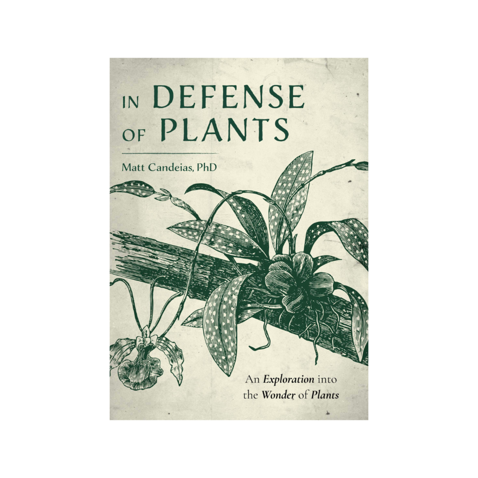 Staghorn Mercantile In Defense of Plants