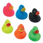 Rubber Duck Multi Colored